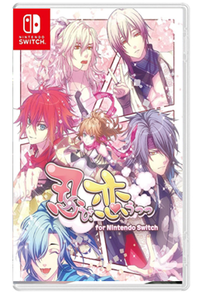 NS 恋爱忍法帖 忍恋合集