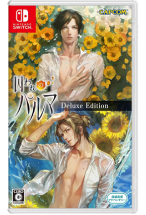 NS 被囚禁的掌心 恋爱乙女